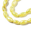 Freshwater Shell Beads Strands SHEL-N026-141-4