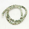 Natural Sesame Jasper/Kiwi Jasper Beads Strands G-G149-10mm-3-2