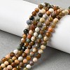 Natural Agate Beads Strands X-G-G991-A03-A-01A-8