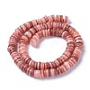 Natural Freshwater Shell Beads Strands X-BSHE-I016-04E-2
