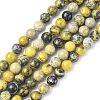 Natural Yellow Turquoise(Jasper) Beads Strands GSR007-1