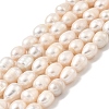 Natural Cultured Freshwater Pearl Beads Strands PEAR-I007-01F-02A-2