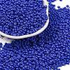 8/0 Baking Paint Glass Seed Beads X1-SEED-M012-02A-54-1