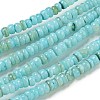 Dyed Natural Freshwater Shell Beads Strands BSHE-G039-07C-1