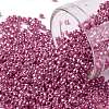 TOHO 11/0 Round Beads SEED-TR11-PF0563-1