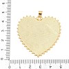 Natural White Shell Pendants KK-C162-001B-G-3