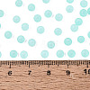FGB Frosted Transparent Glass Seed Beads SEED-N013-02A-10-4