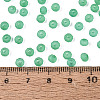 FGB Frosted Transparent Glass Seed Beads SEED-N013-04A-09-4