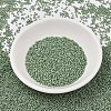 MIYUKI Delica Beads SEED-MY11-DB2310-2