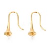 Ion Plating(IP) 304 Stainless Steel Earring Hooks STAS-N108-30G-2