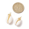 Natural Cowrie Shell Pendants PALLOY-JF03316-05-2