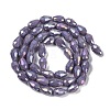 Opaque Solid Color Electroplate Glass Beads Strands EGLA-N013-P10mm-B09-2