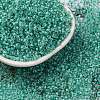 Glass Cylinder Beads SEED-L011-11B-14-1