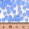 Transparent Glass Bugle Beads SEED-S050-C-001-4