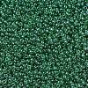 MIYUKI Round Rocailles Beads SEED-X0054-RR0173-2