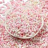 Macaron Color Opaque Frosted Glass Seed Beads SEED-K009-12B-02-2