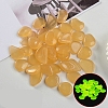 Resin Luminous Glow in the Dark Pebbles Stone LS-PW-WG30806-09-1