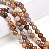 Natural Gemstone Beads Strands G-N349-01A-01-1