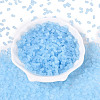 FGB Frosted Transparent Glass Seed Beads SEED-N013-05A-11-2