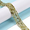 Natural Green Garnet Beads Strands G-C009-A23-2