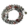 Natural African Bloodstone Beads Strands G-P611-C31-01-3