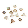 12Pcs 6 Styles Natural Shell Pendant Sets SHEL-CD0001-03-3