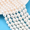 Natural Cultured Freshwater Pearl Beads Strands PEAR-F020-22A-1