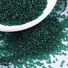 MIYUKI Round Rocailles Beads SEED-X0054-RR0147-1