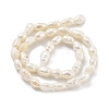 Natural Keshi Pearl Cultured Freshwater Pearl Beads Strands PEAR-P062-19-3