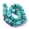 Natural Freshwater Shell Beads Strands SHEL-C001-10-8