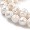 Natural Cultured Freshwater Pearl Beads Strands PEAR-C003-14A-4
