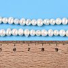 Natural Cultured Freshwater Pearl Beads Strands PEAR-N013-04H-5