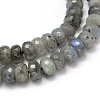 Natural Labradorite Rondelle Bead Strands G-O095-05-C-2