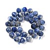 Natural Sodalite Beads Strands G-G182-B20-05-3