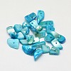 Dyed Natural Freshwater Shell Nuggets Chips Beads SHEL-O001-13C-1