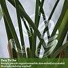 Leaf Shape Acrylic Plant Growth Fixator DIY-WH0430-933B-7