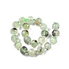 Natural Prehnite Beads Strands G-N327-08H-2