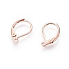 304 Stainless Steel Leverback Earring Findings STAS-P166-12RG-2