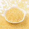 6/0 Glass Seed Beads SEED-T006-04F-09-2