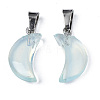 Spray Painted Glass Pendants GLAA-N035-021-A02-4