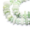 Natural Myanmar Jade/Burmese Jade Beads Strands G-E569-J14-3