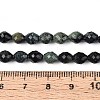 Natural Kambaba Jasper Beads Strands G-T142-86-5