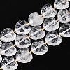 Natural Quartz Crystal Beads Strands G-P592-B19-01-2