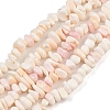 Natural Pink Shell Beads Strands SSHEL-L016-19-2