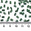 FGB 2-Hole Glass Seed Beads SEED-S031-M-SH127-2