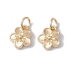 Rack Plating Alloy Charms LS-FIND-G036-02LG-1