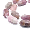 Natural Rose Quartz Beads Strands G-F715-063-3