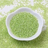 MIYUKI Delica Beads SEED-X0054-DB0174-2