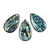 Natural Paua Shell Pendants SSHEL-I026-08B-1