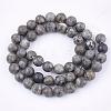 Natural Maifanite/Maifan Stone Beads Strands G-Q462-10mm-21-2